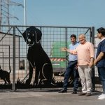 SEVERIN / NOU ADĂPOST PENTRU CÂINII FĂRĂ STĂPÂN