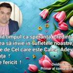 Ovidiu Flori – Primar al comunei Işalniţa